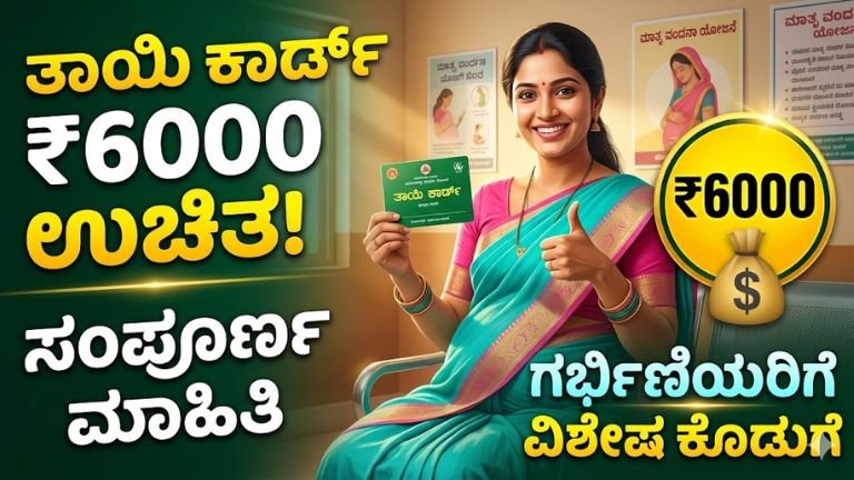 mother card 6000 scheme
